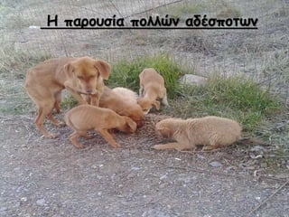  ЦѦϦԦ? ЦϦ˦? ?ҦЦϦӦئ
 