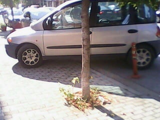 Ecomobility - ЦѦϦԦ?Ҧ 1 Ԧ̦?Ҧɦ ɦͦͦɦӦ?