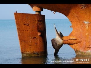 gestione dei relitti navali
 
