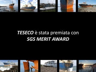 TESECO è stata premiata con
    SGS MERIT AWARD
 