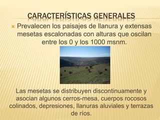 CARACTERÍSTICAS GENERALES 
 Prevalecen los paisajes de llanura y extensas 
mesetas escalonadas con alturas que oscilan 
entre los 0 y los 1000 msnm. 
Las mesetas se distribuyen discontinuamente y 
asocian algunos cerros-mesa, cuerpos rocosos 
colinados, depresiones, llanuras aluviales y terrazas 
de ríos. 
 