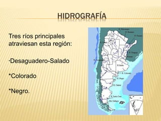 HIDROGRAFÍA 
Tres ríos principales 
atraviesan esta región: 
*Desaguadero-Salado 
*Colorado 
*Negro. 
 