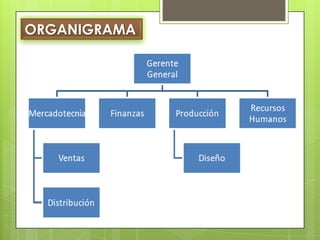 ORGANIGRAMA