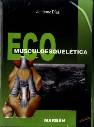 Eco musculoesqueletica (1)
