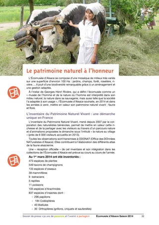 Le patrimoine naturel à l’honneur
L’Écomusée d’Alsace se compose d’une mosaïque de milieux très variés
sur une superficie d’environ 100 Ha : jardins, champs, forêt, roselière, ri-
vière…. Il jouit d’une biodiversité remarquable grâce à un aménagement et
une gestion adaptés.
À l’instar de Georges Henri Rivière, qui a défini l’écomusée comme un
« musée de l’homme et de la nature où l’homme est interprété dans son
milieu naturel, la nature dans sa sauvagerie, mais aussi telle que la société
l’a adaptée à son usage », l’Écomusée d’Alsace souhaite, en 2014 et dans
les années à venir, mettre en valeur son patrimoine naturel vivant : faune
et flore.
L’inventaire du Patrimoine Naturel Vivant : une démarche
unique en France
L’inventaire du Patrimoine Naturel Vivant, mené depuis 2007 par la cor-
poration des naturalistes bénévoles, permet de mettre en valeur cette ri-
chesse et de la partager avec les visiteurs au travers d’un parcours nature
et d’animations proposées le dimanche sous l’intitulé « la nature au village
» (près de 6 000 visiteurs accueillis en 2013).
Toutes les observations sont transmises à ODONAT (Office des DOnnées
NATuralistes d’Alsace). Elles contribuent à l’élaboration des différents atlas
de la faune alsacienne.
Une « réception officielle » de cet inventaire et son intégration dans les
collections de l’Écomusée d’Alsace est prévue au cours au cours de l’année.
Au 1er
mars 2014 ont été inventoriés :
473 espèces de plantes
549 taxons de champignons
133 espèces d’oiseaux
39 mammifères
9 batraciens
5 reptiles
11 poissons
105 espèces d’Arachnides
837 espèces d’insectes dont :
- 296 papillons
- 184 Coléoptères
- 40 libellules
- 30 Orthoptères (grillons, criquets et sauterelles)
20Dossier de presse «30 ans de passsions et l'avenir à partager» Écomusée d’Alsace Saison 2014
 