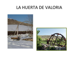 LA HUERTA DE VALORIA 