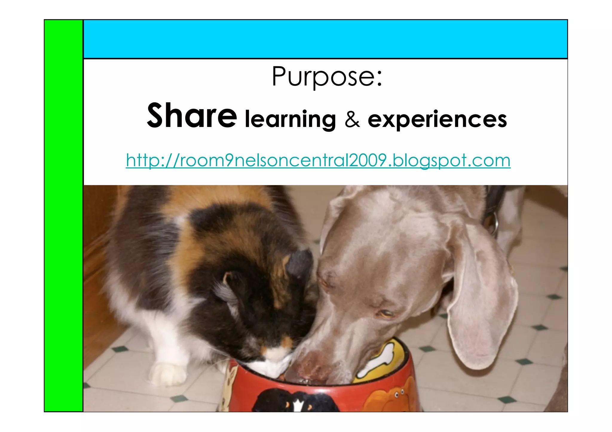 Purpose:
  Share learning & experiences
http://room9nelsoncentral2009.blogspot.com
 