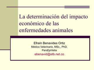 La determinación del impacto
económico de las
enfermedades animales

      Efraín Benavides Ortiz
    Médico Veterinario, MSc., PhD.
            ParsEpiVetia
      ebenavid@etb.net.co
 