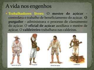  Trabalhadores livres: O mestre de açúcar -
controlava o trabalho de beneficiamento do açúcar. O
purgador - administrava o processo de clareamento
do açúcar. O oficial de açúcar auxiliava o mestre de
açúcar. O caldeireiro trabalhava nas caldeiras.
 