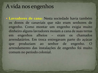  Lavradores de cana: Nesta sociedade havia também
os donos de canaviais que não eram senhores de
engenho. Como montar um engenho exigia muito
dinheiro alguns lavradores moíam a cana de suas terras
em engenhos alheios – eram os chamados
arrendatários. Em troca entregavam parte do açúcar
que produziam ao senhor de engenho. O
arrendamento das instalações de engenho foi muito
comum no período colonial.
 