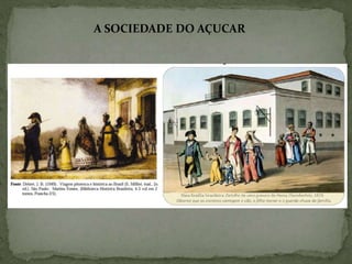 A SOCIEDADE DO AÇUCAR
 