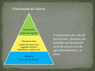 Aristocratas
senhor de engenho
Homens Livres
senhor de terras sem
engenho, ferreiro,
carpinteiro, capataz, etc.
Escravos
“mão e pés do senhor”
A expectativa de vida de
um escravo, durante seu
trabalho na lavoura da
cana de açúcar, era de,
aproximadamente, 10
anos.
A Sociedade do Açúcar
 