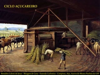 CICLO AÇUCAREIRO
Benedito Calixto de Jesus - Moagem de Cana - Fazenda Cachoeira - Campinas, 1830, Acervo do Museu Paulista da USP
 