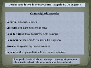 Composição do engenho
•Canavial: plantação de cana
•Moenda: local para moagem da cana
•Casa de purgar: local para preparação do açúcar
•Casa-Grande: moradia do branco Sr. De Engenho
•Senzala: abrigo dos negros escravizados
•Capela: local religioso destinado aos brancos católicos
Unidade produtiva de açúcar Controlada pelo Sr. De Engenho
No engenho havia ainda pequenas plantações/criações para
subsistência – destinada às necessidades básicas locais
 