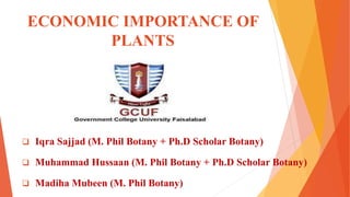 ECONOMIC IMPORTANCE OF
PLANTS
 Iqra Sajjad (M. Phil Botany + Ph.D Scholar Botany)
 Muhammad Hussaan (M. Phil Botany + Ph.D Scholar Botany)
 Madiha Mubeen (M. Phil Botany)
 