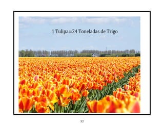 1	Tulipa=24	Toneladas	de	Trigo




             32
 