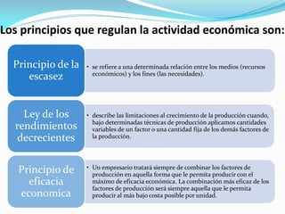 Los principios que regulan la actividad económica son:
Principio de la
escasez

• se refiere a una determinada relación entre los medios (recursos
económicos) y los fines (las necesidades).

Ley de los
rendimientos
decrecientes

• describe las limitaciones al crecimiento de la producción cuando,
bajo determinadas técnicas de producción aplicamos cantidades
variables de un factor o una cantidad fija de los demás factores de
la producción.

Principio de
eficacia
economica

• Un empresario tratará siempre de combinar los factores de
producción en aquella forma que le permita producir con el
máximo de eficacia económica. La combinación más eficaz de los
factores de producción será siempre aquella que le permita
producir al más bajo costa posible por unidad.

 