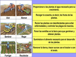 Economía para Primaria