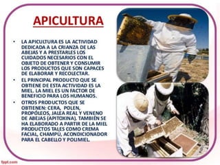 Economía para Primaria