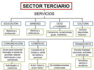 Economía para Primaria
