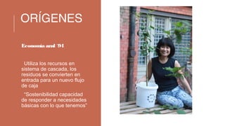 ORÍGENES
Economía azul ´94
1.Utiliza los recursos en
sistema de cascada, los
residuos se convierten en
entrada para un nuevo flujo
de caja
2.“Sostenibilidad capacidad
de responder a necesidades
básicas con lo que tenemos”
 