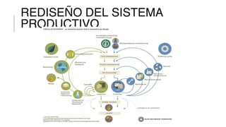 REDISEÑO DEL SISTEMA
PRODUCTIVO
 
