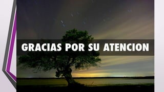 Economía de mercado