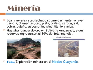 Minería
   Los minerales aprovechados comercialmente incluyen
    bauxita, diamantes, oro, plata, platino, carbón, sal,
    cobre, estaño, asbesto, fosfatos, titanio y mica.
   Hay abundancia de oro en Bolívar y Amazonas, y sus
    reservas representan el 10% del total mundial.




   Foto: Exploración minera en el Macizo Guayanés.
 