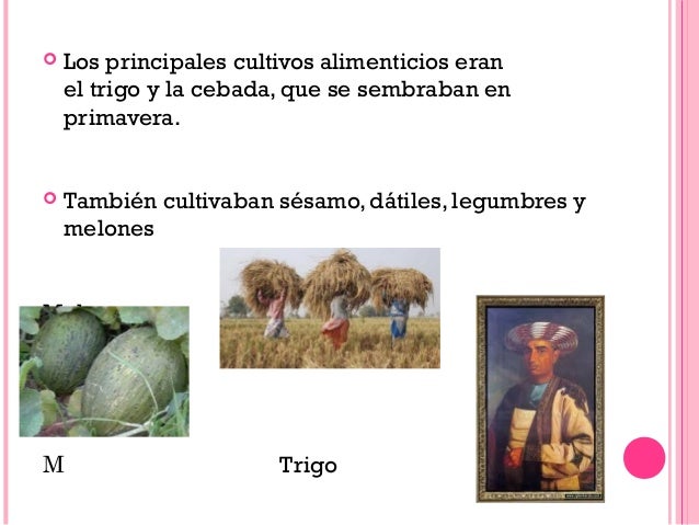 Economía en india en los siglos XV y XVI