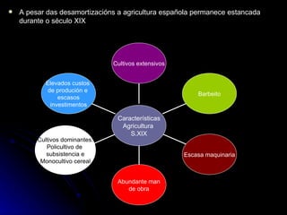 A pesar das desamortizacións a agricultura española permanece estancada durante o século XIX Elevados custos  de produción e  escasos investimentos Cultivos dominantes: Policultivo de  subsistencia e Monocultivo cereal Abundante man de obra Escasa maquinaria Barbeito Cultivos extensivos Características Agricultura  S.XIX 