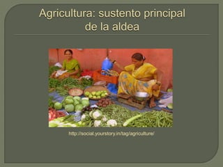 http://social.yourstory.in/tag/agriculture/
 