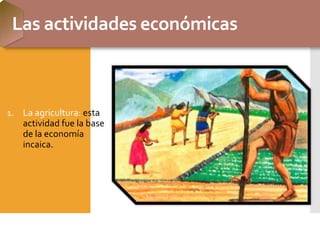 Las actividades económicas
1. La agricultura: esta
actividad fue la base
de la economía
incaica.
 