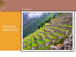 TÈCNICAS
AGRÌCOLAS
 Andenes
 