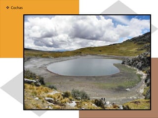  Cochas
 