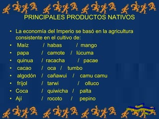 PRINCIPALES PRODUCTOS NATIVOS
• La economía del Imperio se basó en la agricultura
consistente en el cultivo de:
• Maíz / habas / mango
• papa / camote / lúcuma
• quinua / racacha / pacae
• cacao / oca / tumbo
• algodón / cañawui / camu camu
• fríjol / tarwi / olluco
• Coca / quiwicha / palta
• Ají / rocoto / pepino
 