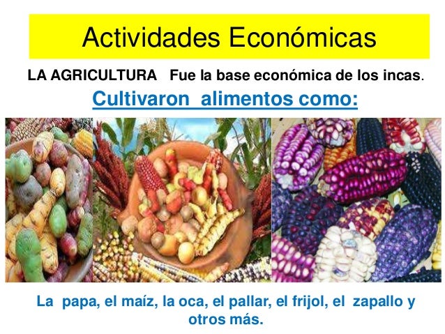Economía incaica