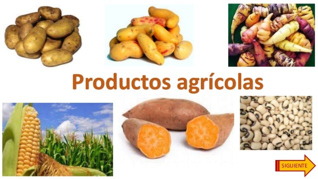 Imagen relacionada