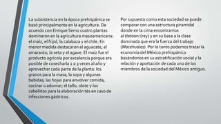 La subsistencia en la época prehispánica se
basó principalmente en la agricultura. De
acuerdo con Enrique Semo cuatro plantas
dominaron en la agricultura mesoamericana:
el maíz, el frijol, la calabaza y el chile. En
menor medida destacaron el aguacate, el
amaranto, la seta y el agave. El maíz fue el
producto agrícola por excelencia porque era
posible de cosecharla 2 a 3 veces al año y
aprovechar cada parte de la planta: los
granos para la masa, la sopa y algunas
bebidas; las hojas para envolver comida,
cocinar o adornar; el tallo, olote y los
cabellitos para la elaboración tés en caso de
infecciones gástricos.
Por supuesto como esta sociedad se puede
comparar con una estructura piramidal
donde en la cima encontramos
al tlatoani (rey) y en su base a la clase
dominada que era la fuerza del trabajo
(Macehuales). Por lo tanto podemos tratar la
economía del México prehispánico
basándonos en su estratificación social y la
relación y aportación de cada uno de los
miembros de la sociedad del México antiguo.
 