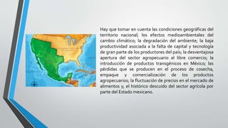 Hay que tomar en cuenta las condiciones geográficas del
territorio nacional; los efectos medioambientales del
cambio climático; la degradación del ambiente; la baja
productividad asociada a la falta de capital y tecnología
de gran parte de los productores del país; la desventajosa
apertura del sector agropecuario al libre comercio; la
introducción de productos transgénicos en México; las
pérdidas que se producen en el proceso de cosecha,
empaque y comercialización de los productos
agropecuarios; la fluctuación de precios en el mercado de
alimentos y, el histórico descuido del sector agrícola por
parte del Estado mexicano.
 