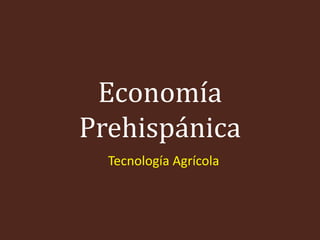 Economía
Prehispánica
  Tecnología Agrícola
 