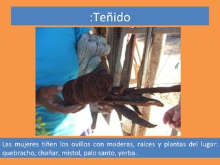 :Teñido




Las mujeres tiñen los ovillos con maderas, raíces y plantas del lugar:
quebracho, chañar, mistol, palo santo, yerba.
 