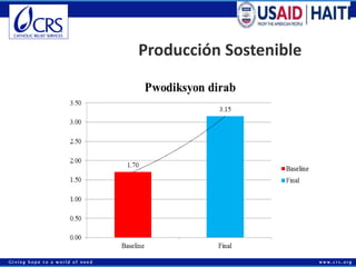 Economías rurales competitivas