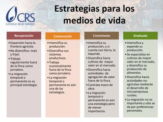 Economías rurales competitivas