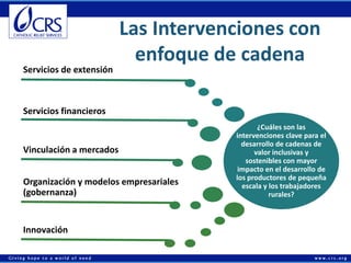 Economías rurales competitivas