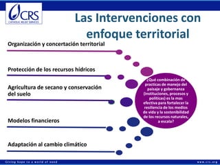 Economías rurales competitivas