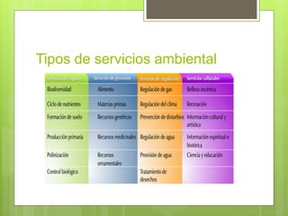 Tipos de servicios ambiental
 