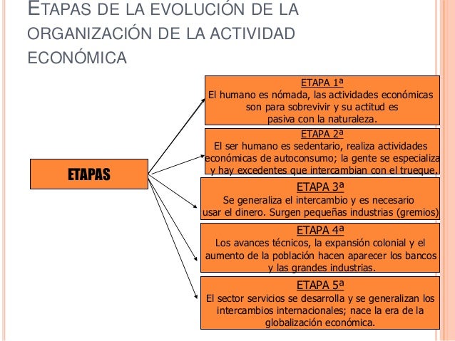 Cuales Son Las Etapas De La Economia