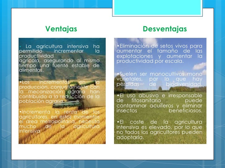 Economia