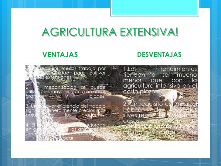 Economia
