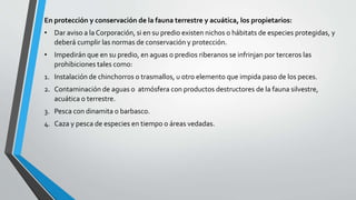 En protección y conservación de la fauna terrestre y acuática, los propietarios:
• Dar aviso a la Corporación, si en su predio existen nichos o hábitats de especies protegidas, y
deberá cumplir las normas de conservación y protección.
• Impedirán que en su predio, en aguas o predios riberanos se infrinjan por terceros las
prohibiciones tales como:
1. Instalación de chinchorros o trasmallos, u otro elemento que impida paso de los peces.
2. Contaminación de aguas o atmósfera con productos destructores de la fauna silvestre,
acuática o terrestre.
3. Pesca con dinamita o barbasco.
4. Caza y pesca de especies en tiempo o áreas vedadas.
 